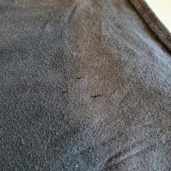 24) PLANET WAVES "Plug In" Music Amp 🎶 Sz. M - Picture 5 of 6